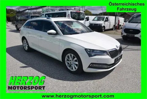 Annonce SKODA SUPERB Diesel 2019 d'occasion 