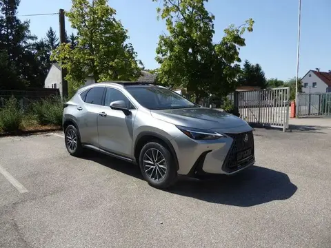 Annonce LEXUS NX Hybride 2024 d'occasion 