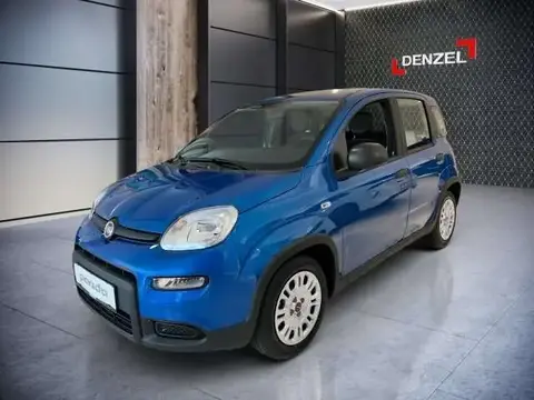 Annonce FIAT PANDA Hybride 2024 d'occasion 