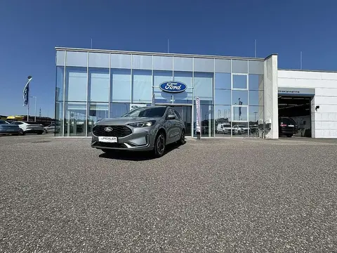 Used FORD KUGA Hybrid 2024 Ad 