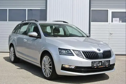 Used SKODA OCTAVIA Diesel 2019 Ad 