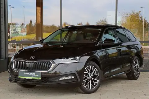 Used SKODA OCTAVIA Diesel 2021 Ad 