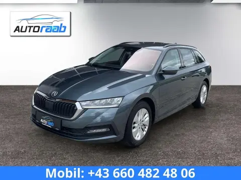 Used SKODA OCTAVIA Diesel 2021 Ad 