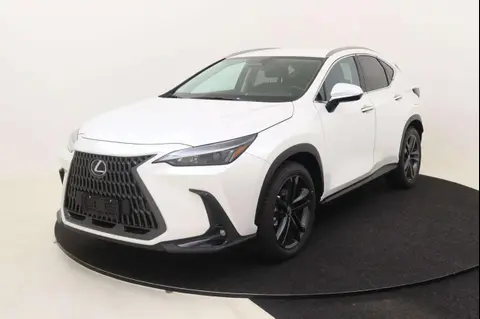 Annonce LEXUS NX Hybride 2024 d'occasion 