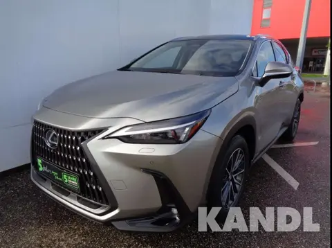 Annonce LEXUS NX Hybride 2024 d'occasion 