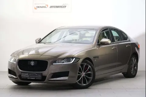 Used JAGUAR XF Diesel 2015 Ad 