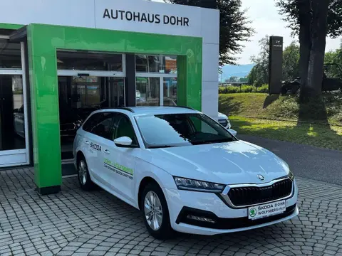 Annonce SKODA OCTAVIA Diesel 2023 d'occasion 