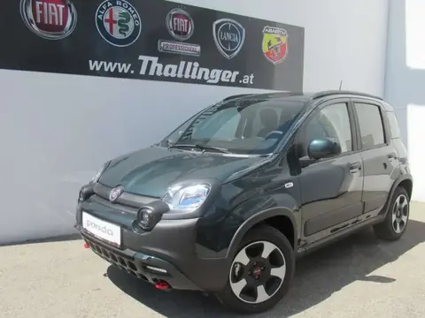 Used FIAT PANDA Hybrid 2024 Ad 