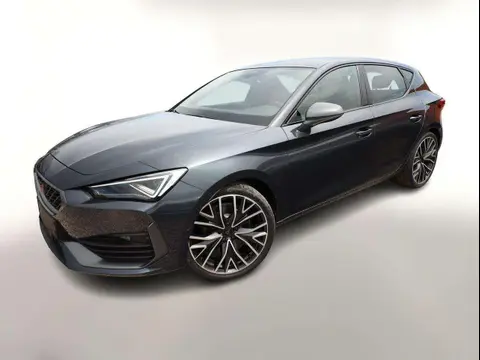 Annonce CUPRA LEON Essence 2024 d'occasion 