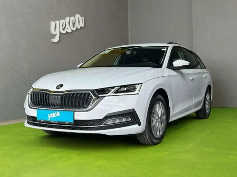 Annonce SKODA OCTAVIA Essence 2024 d'occasion 