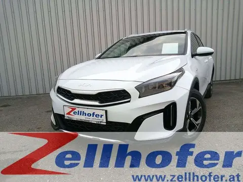 Used KIA XCEED Diesel 2024 Ad 