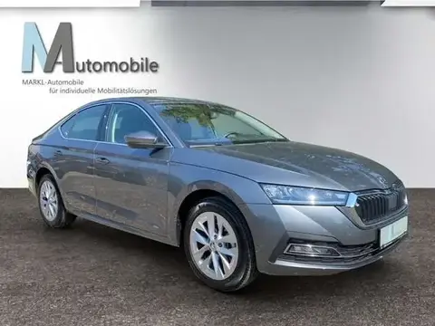 Used SKODA OCTAVIA Diesel 2023 Ad 