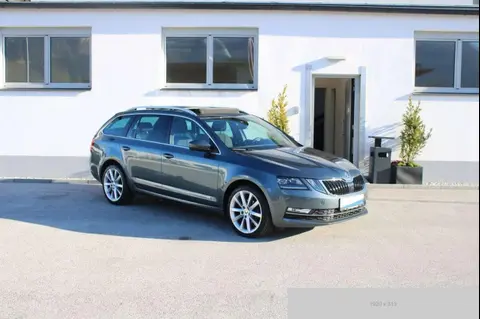 Used SKODA OCTAVIA Diesel 2019 Ad 