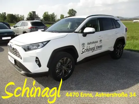 Annonce TOYOTA RAV4 Hybride 2024 d'occasion 