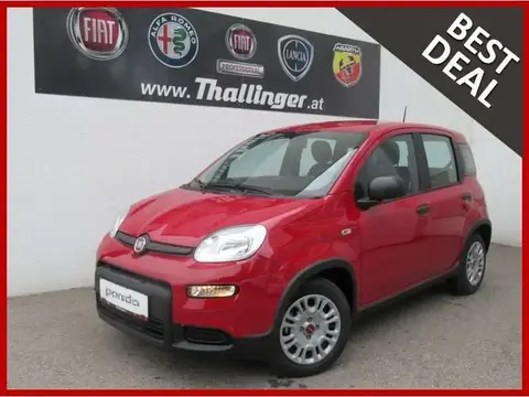 Annonce FIAT PANDA Essence 2024 d'occasion 