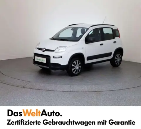 Used FIAT PANDA Petrol 2018 Ad 