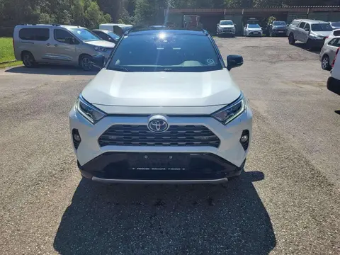 Used TOYOTA RAV4 Hybrid 2019 Ad 