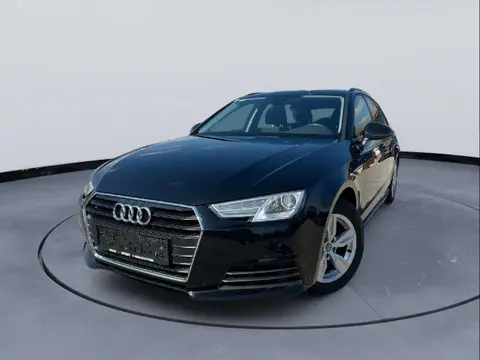 Annonce AUDI A4 Diesel 2019 d'occasion 