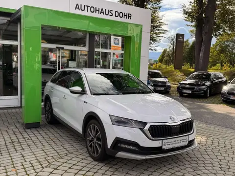 Annonce SKODA OCTAVIA Diesel 2022 d'occasion 