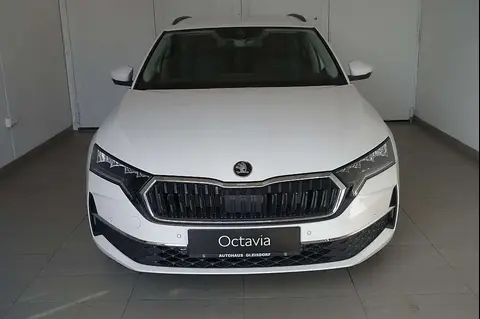 Used SKODA OCTAVIA Petrol 2024 Ad 