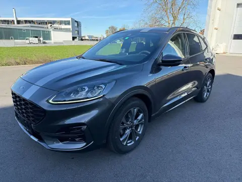 Used FORD KUGA Diesel 2020 Ad 