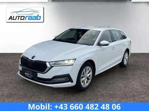 Annonce SKODA OCTAVIA Diesel 2021 d'occasion 