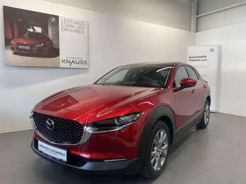 Used MAZDA CX-30 Petrol 2022 Ad 