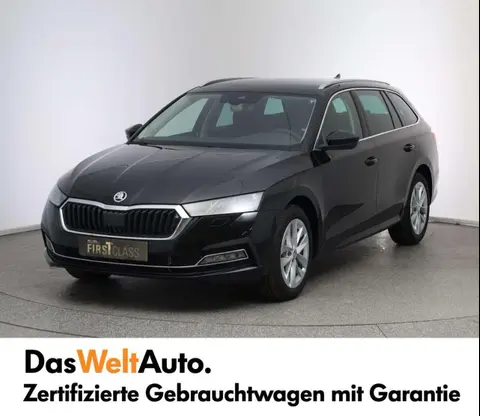 Annonce SKODA OCTAVIA Diesel 2024 d'occasion 