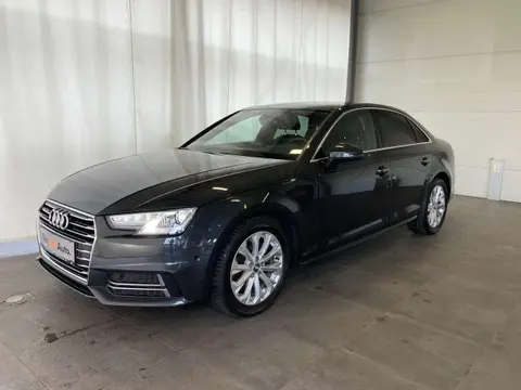 Annonce AUDI A4 Essence 2019 d'occasion 