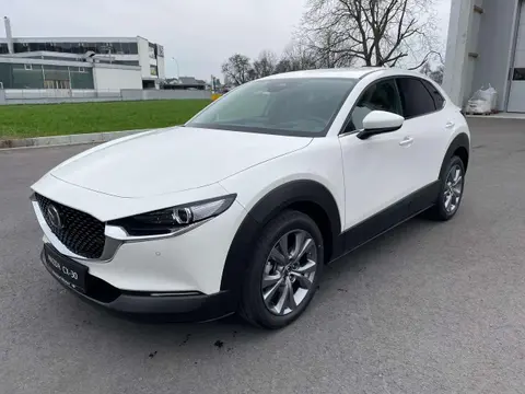 Used MAZDA CX-30 Petrol 2024 Ad 