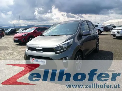 Annonce KIA PICANTO Essence 2022 d'occasion 