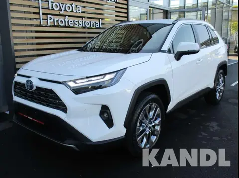 Annonce TOYOTA RAV4 Hybride 2024 d'occasion 