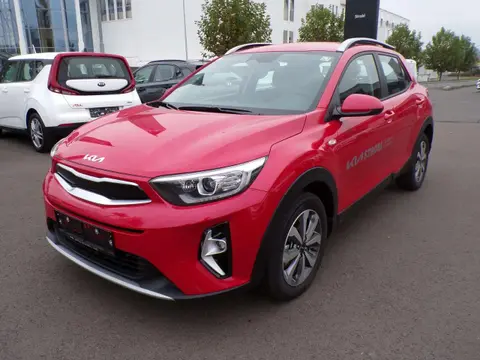 Annonce KIA STONIC Essence 2024 d'occasion 