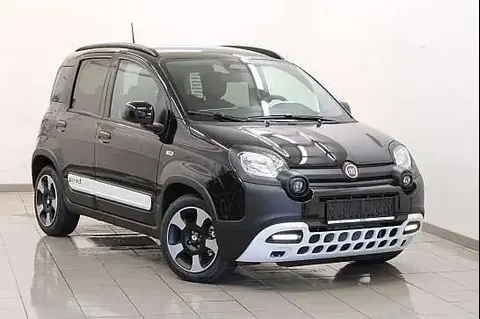 Annonce FIAT PANDA Hybride 2024 d'occasion 