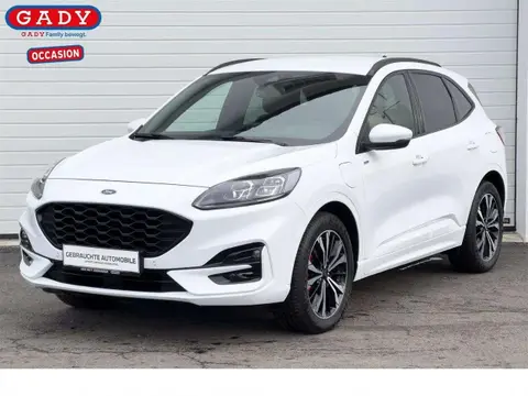 Annonce FORD KUGA Hybride 2021 d'occasion 