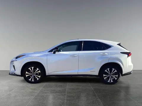 Annonce LEXUS NX Hybride 2021 d'occasion 