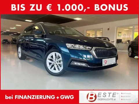 Annonce SKODA OCTAVIA Diesel 2023 d'occasion 