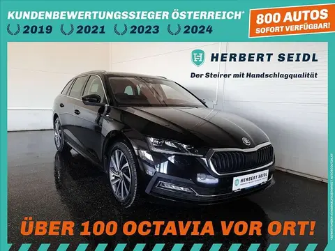 Used SKODA OCTAVIA Diesel 2020 Ad 