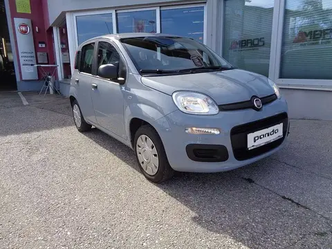 Used FIAT PANDA Petrol 2018 Ad 