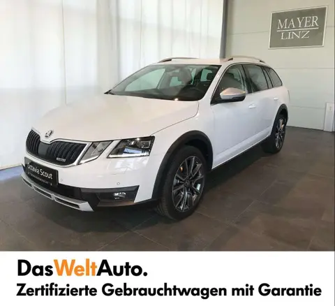 Annonce SKODA OCTAVIA Diesel 2019 d'occasion 