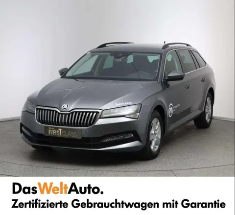 Annonce SKODA SUPERB Diesel 2023 d'occasion 