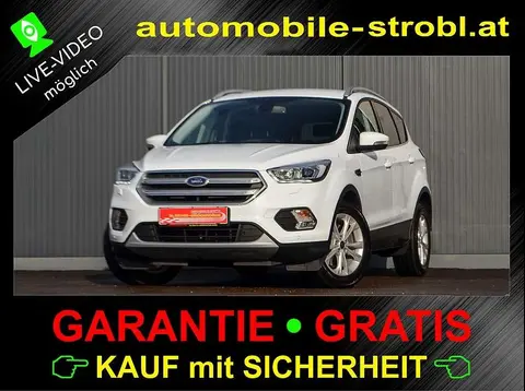 Used FORD KUGA Diesel 2018 Ad 