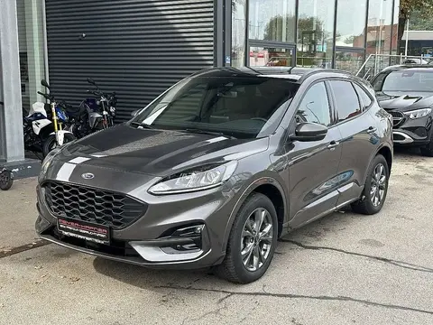 Used FORD KUGA Hybrid 2022 Ad 