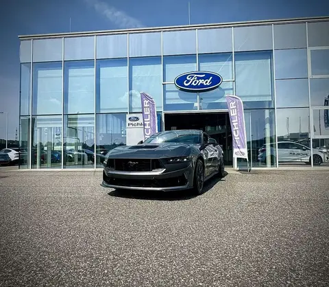 Annonce FORD MUSTANG Essence 2024 d'occasion 