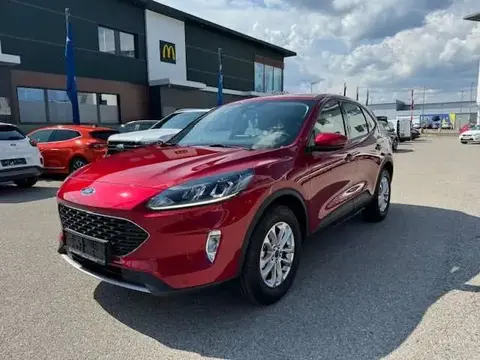 Annonce FORD KUGA Essence 2023 d'occasion 