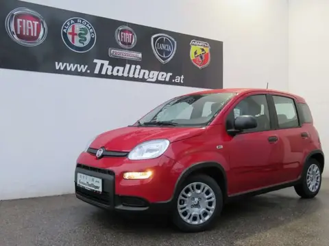 Annonce FIAT PANDA Hybride 2024 d'occasion 