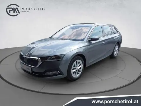 Annonce SKODA OCTAVIA Diesel 2024 d'occasion 