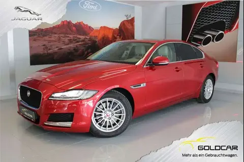 Used JAGUAR XF Diesel 2020 Ad 