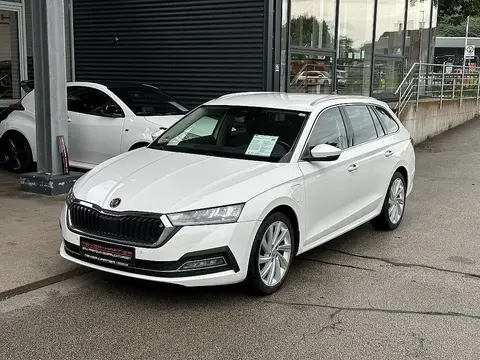 Annonce SKODA OCTAVIA Hybride 2021 d'occasion 