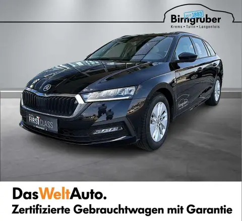 Annonce SKODA OCTAVIA Diesel 2024 d'occasion 